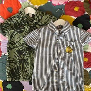 Tea Summer Buttondowns Bundle